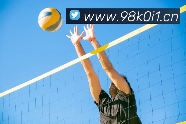 熊猫官网入口平台生态图