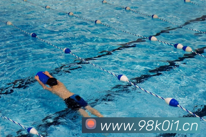 熊猫官网入口APP 封面图